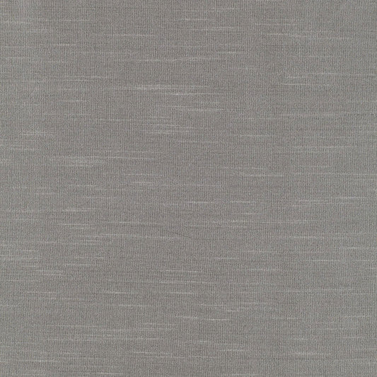 Tiepolo shantung weave | Silver