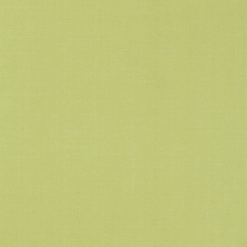 Tiepolo shantung weave | Limeade