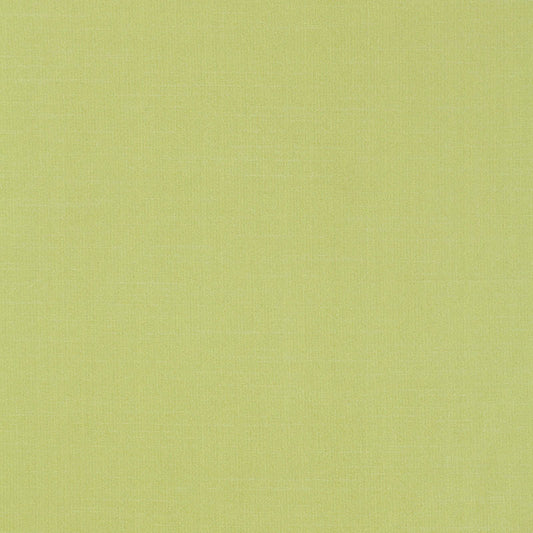 Tiepolo shantung weave | Limeade