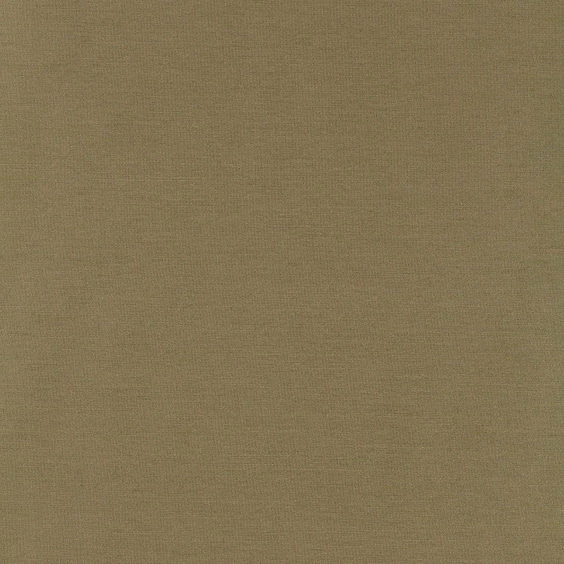 Tiepolo shantung weave | Sage