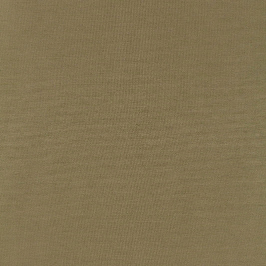 Tiepolo shantung weave | Sage