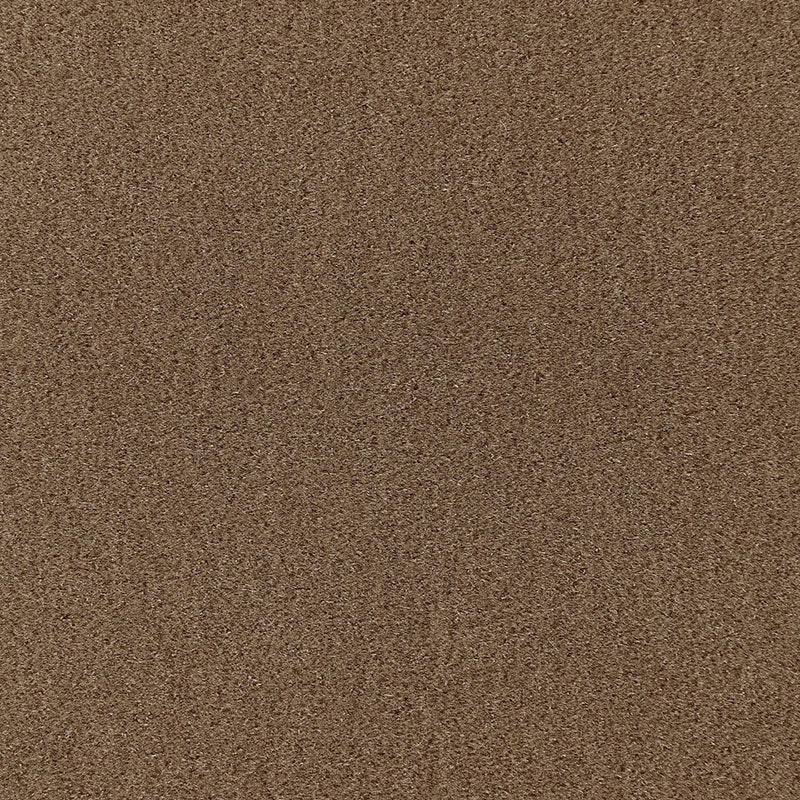 San carlo mohair velvet | Tobacco