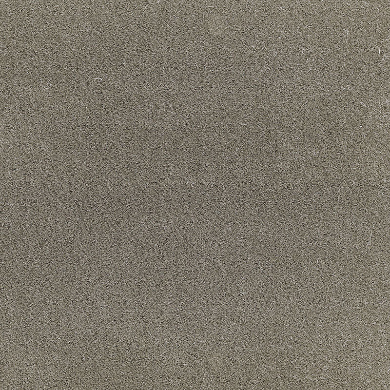 San carlo mohair velvet | Moleskin