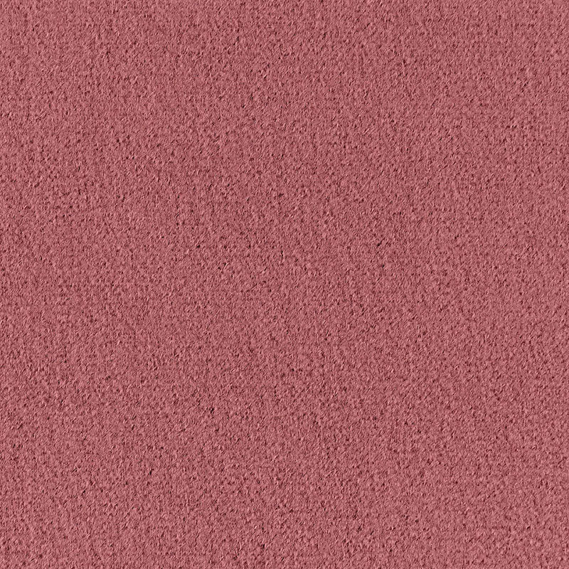 Palermo mohair velvet | French violet