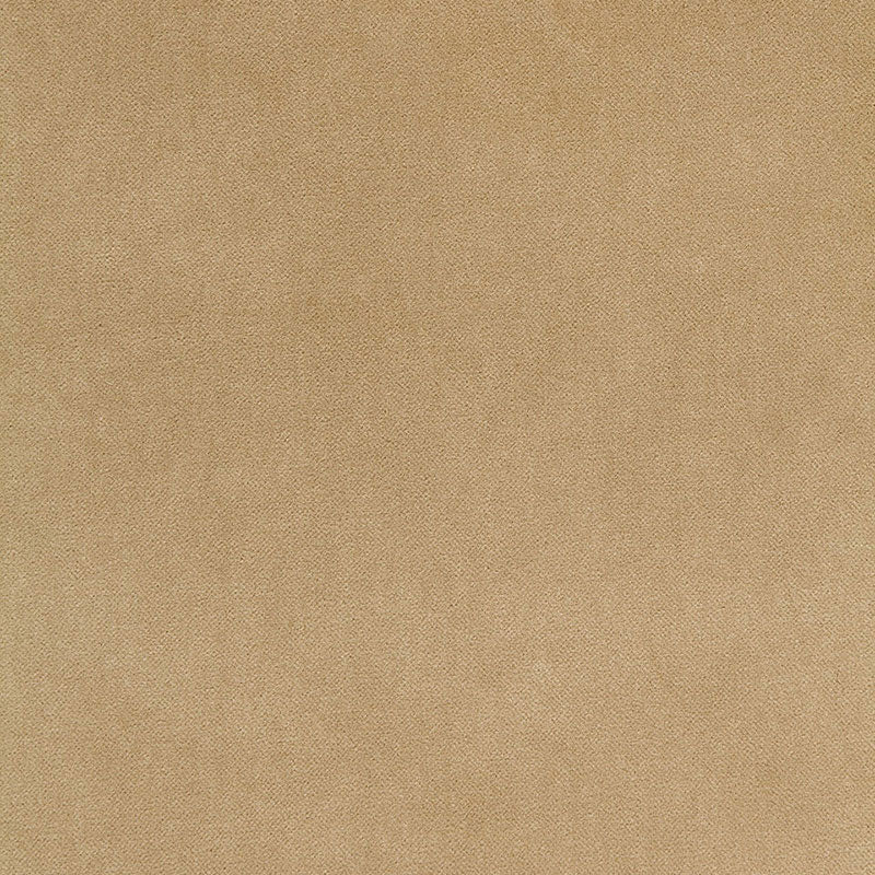 Bayeux velvet | Putty