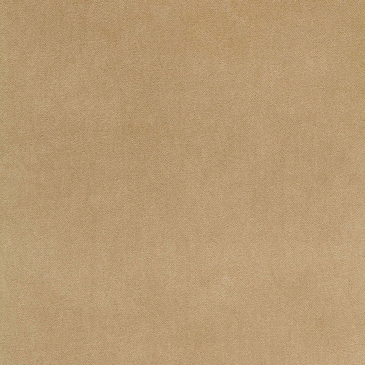 Bayeux velvet | Putty