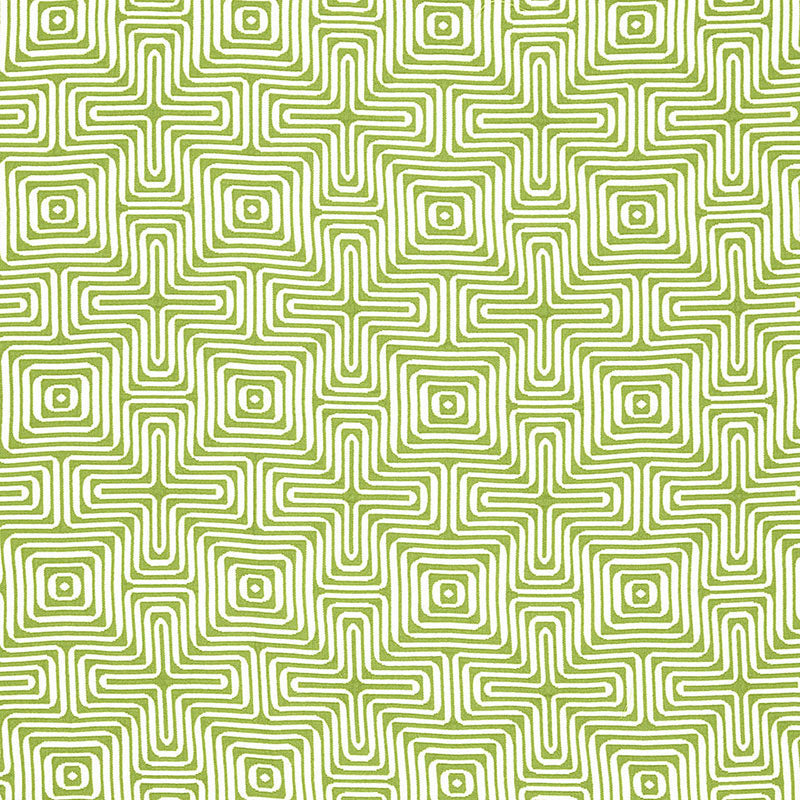 Amazing maze | Palm