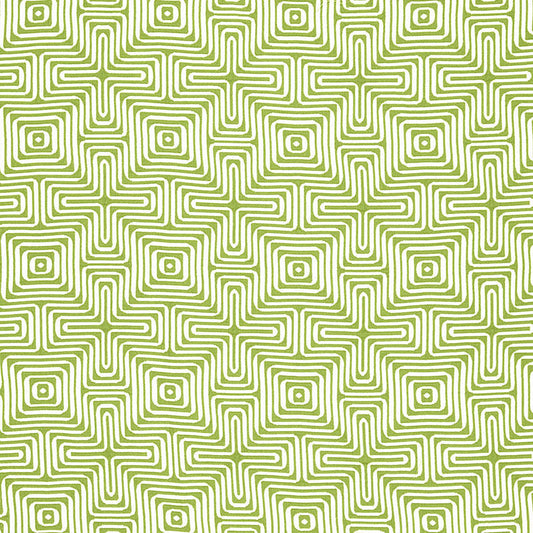 Amazing maze | Palm