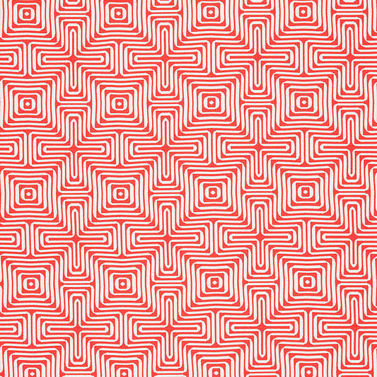 Amazing maze | Coral