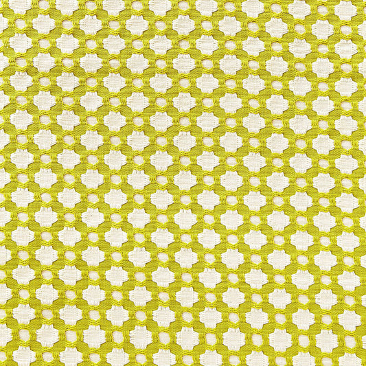 Betwixt | Chartreuse / ivory