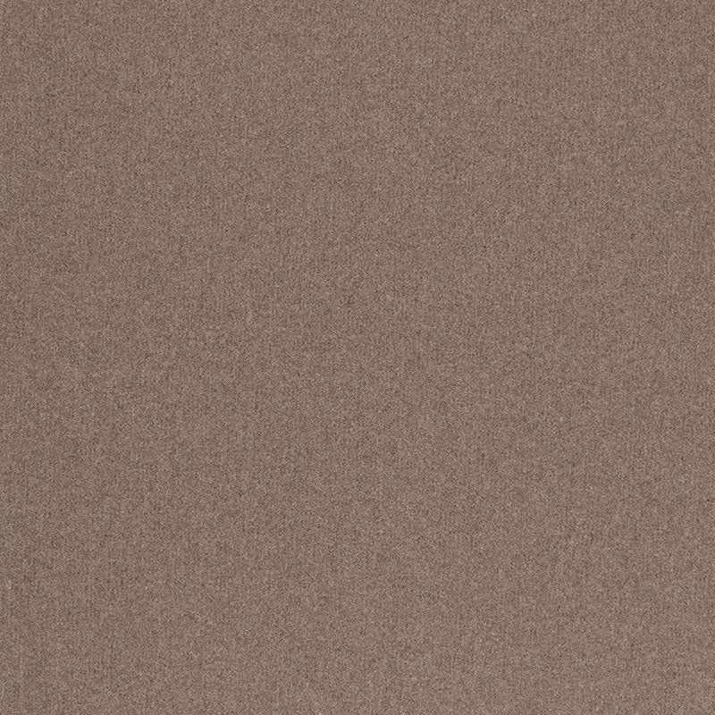 Chester wool | Graphite
