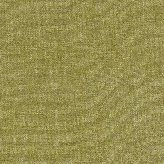 Auden | Chartreuse