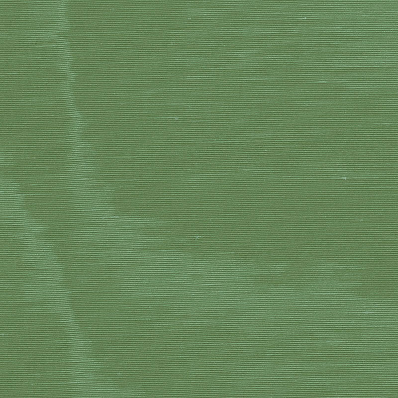 Incomparable moire | Vert