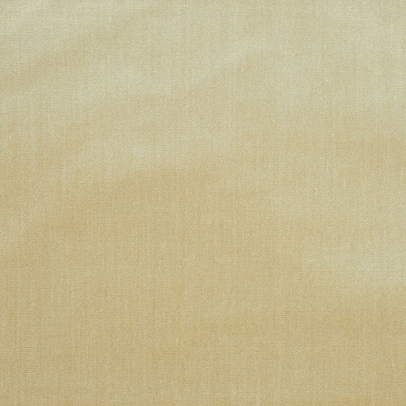 Venetian silk velvet | Oyster