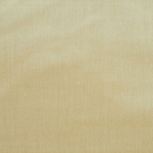 Venetian silk velvet | Oyster