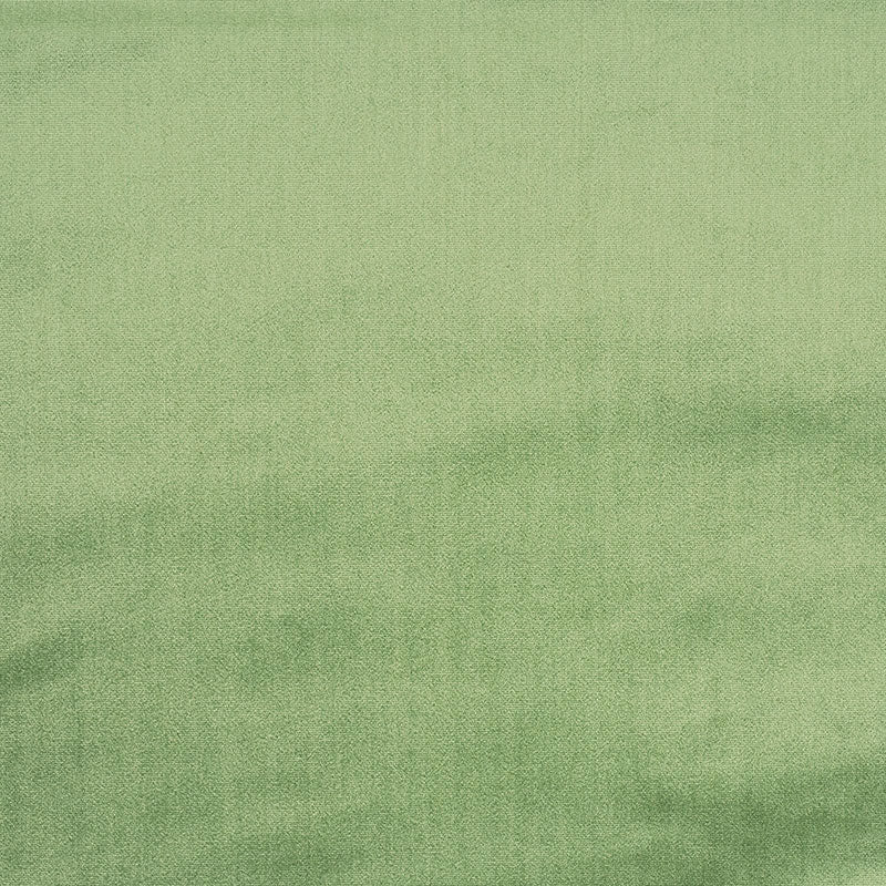 Venetian silk velvet | Aloe