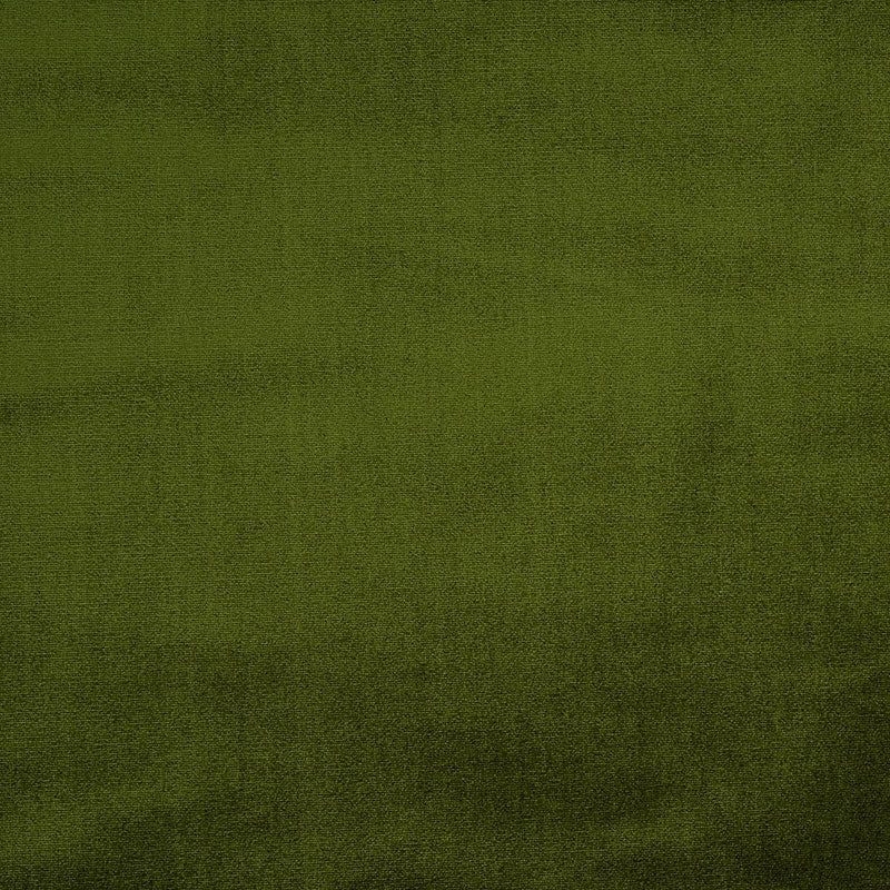Venetian silk velvet | Moss