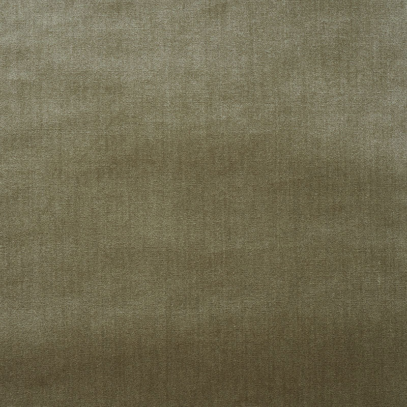 Venetian silk velvet | Lichen