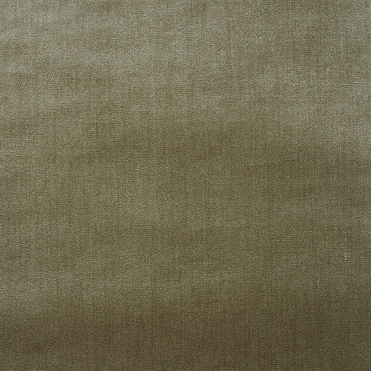 Venetian silk velvet | Lichen