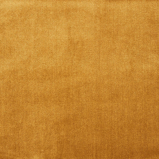 Venetian silk velvet | Gold