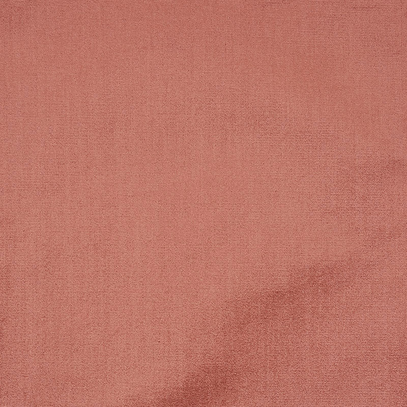 Venetian silk velvet | Cameo