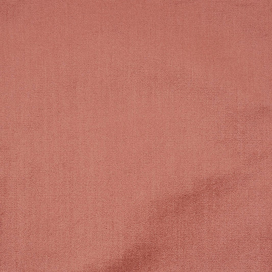 Venetian silk velvet | Cameo