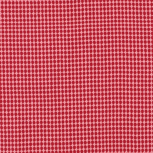 Zipster | Red & pink