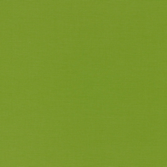 Alassio | Lime