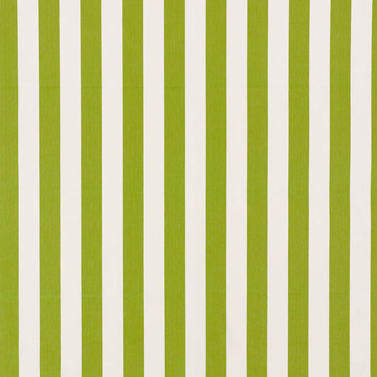 Andy stripe | Green