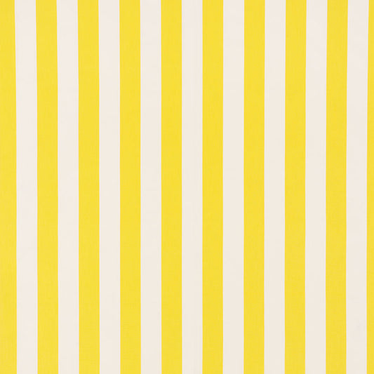 Andy stripe | Yellow