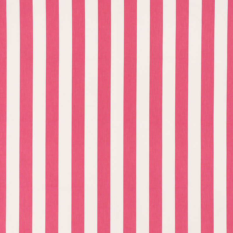 Andy stripe | Pink