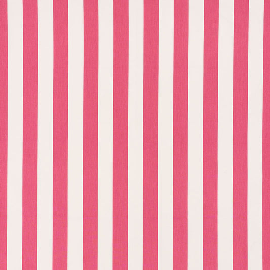 Andy stripe | Pink