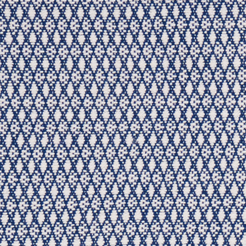 Zoila | Blue