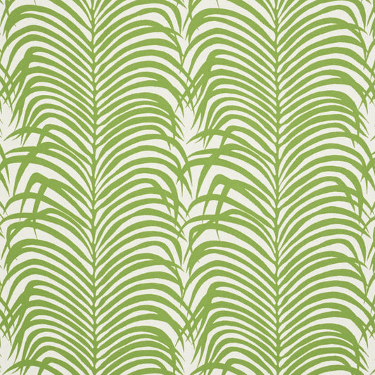 Zebra palm indoor/outdoor | Leaf