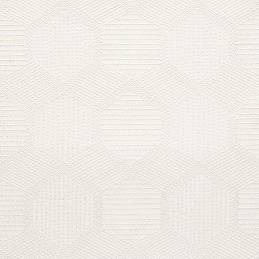 Tortuga embroidery | Ivory