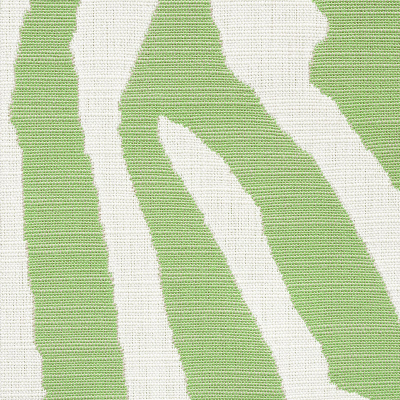 Amanzi | Leaf