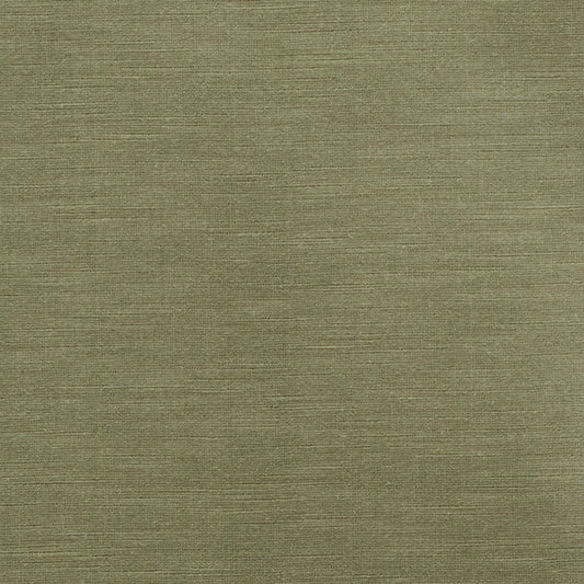 Antique linen velvet ii | Sage