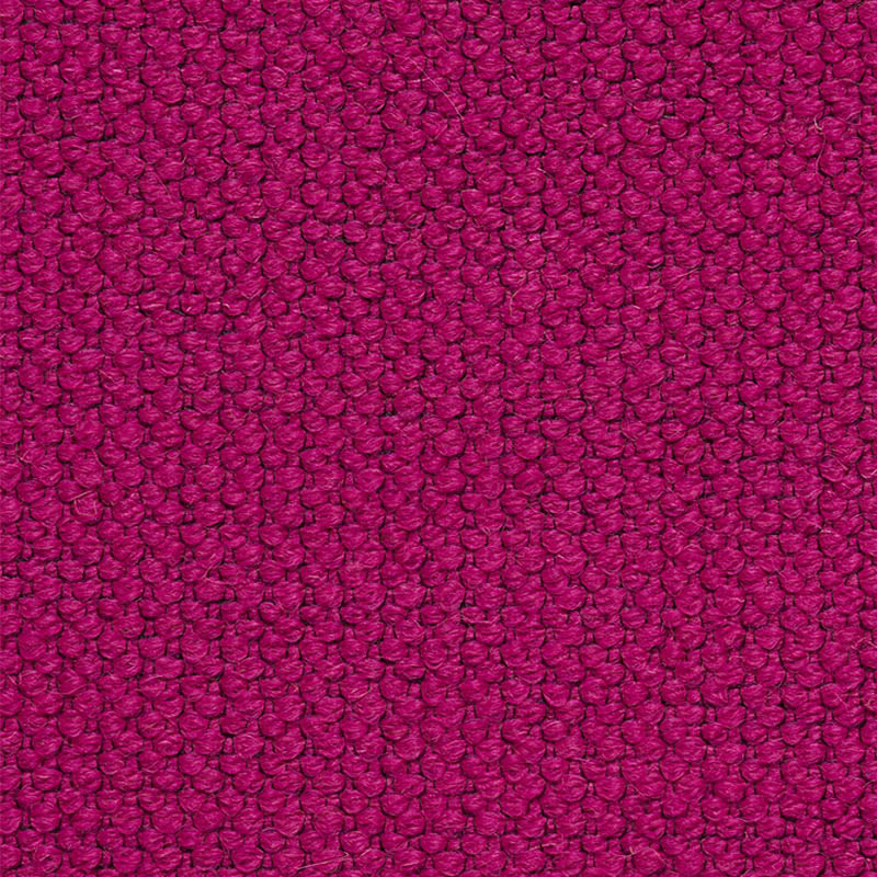Alpine | Fuchsia