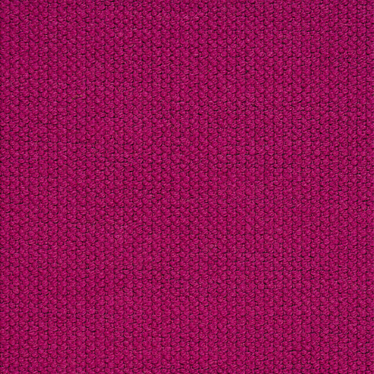 Alpine | Fuchsia