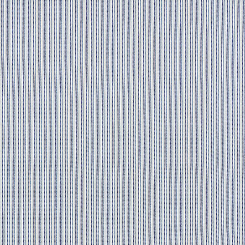 Barbary stripe | Blue