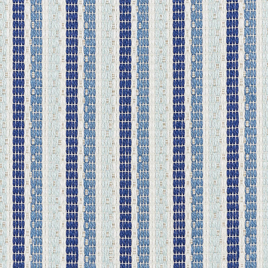 Barbary stripe | Blue