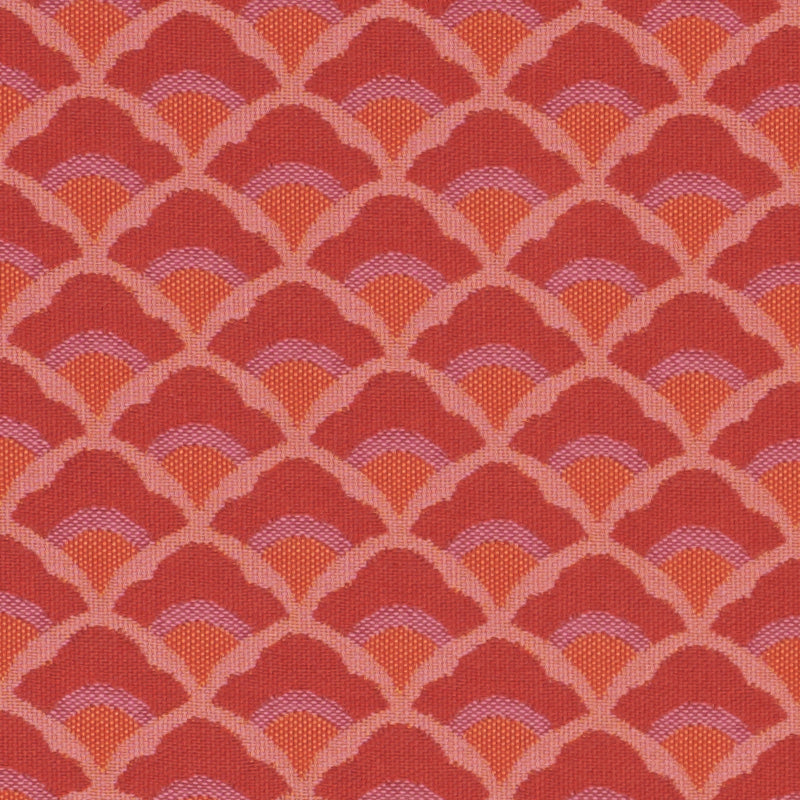 Wilhelm | Coral
